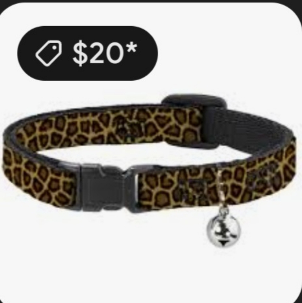 Play On DOG COLLAR 🐕 - Picture 14 of 16
